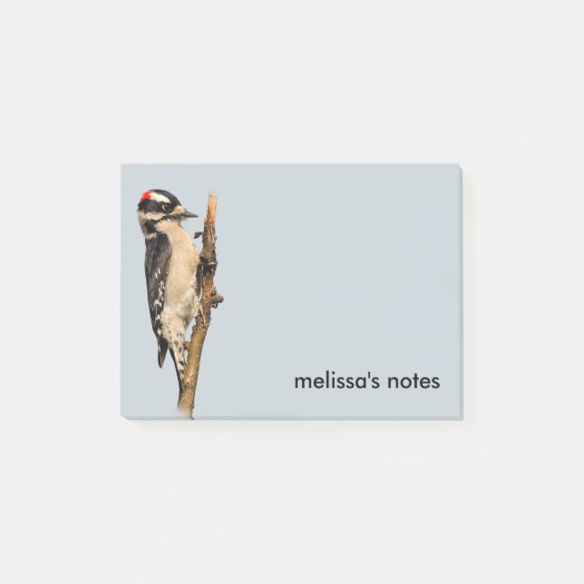 Cute Downy Woodpecker on Fruit Tree Post-it Notes (Front)