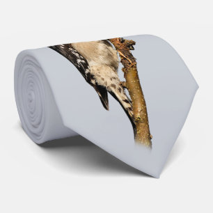 Cute Downy Woodpecker on Fruit Tree Tie