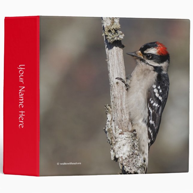 Cute Downy Woodpecker on the Tree Binder (Front/Spine)