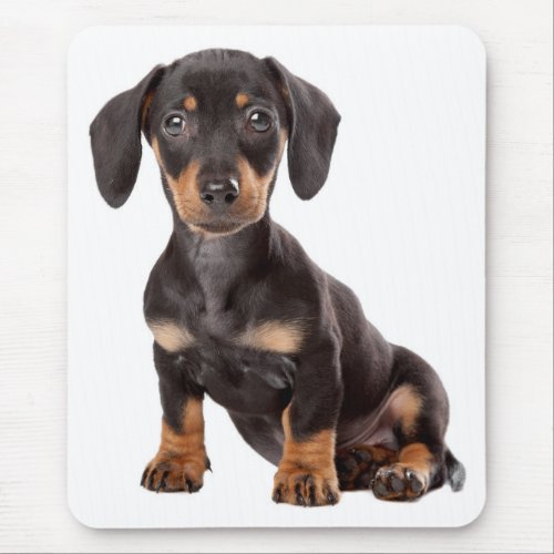 Cute Doxin Puppy Wiener Love Dog Mom Dachshund Mouse Pad