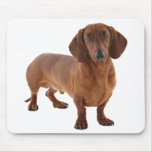Cute Doxin Wiener Puppy Dog Lover Gift Dachshund Mouse Pad