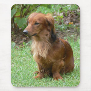 Cute Doxin Wiener Puppy Dog Lover Gift Dachshund Mouse Pad