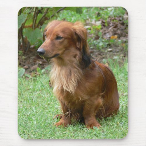 Cute Doxin Wiener Puppy Dog Lover Gift Dachshund Mouse Pad