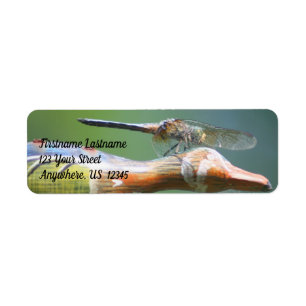 Cute Dragonfly Co Pilot Nature Address Label