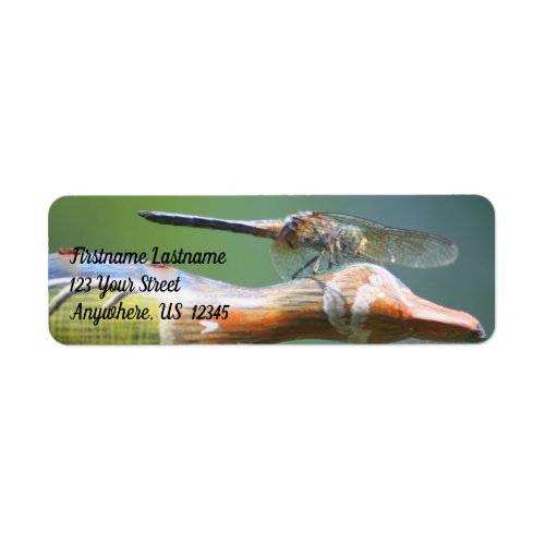 Cute Dragonfly Co Pilot Nature Address Label