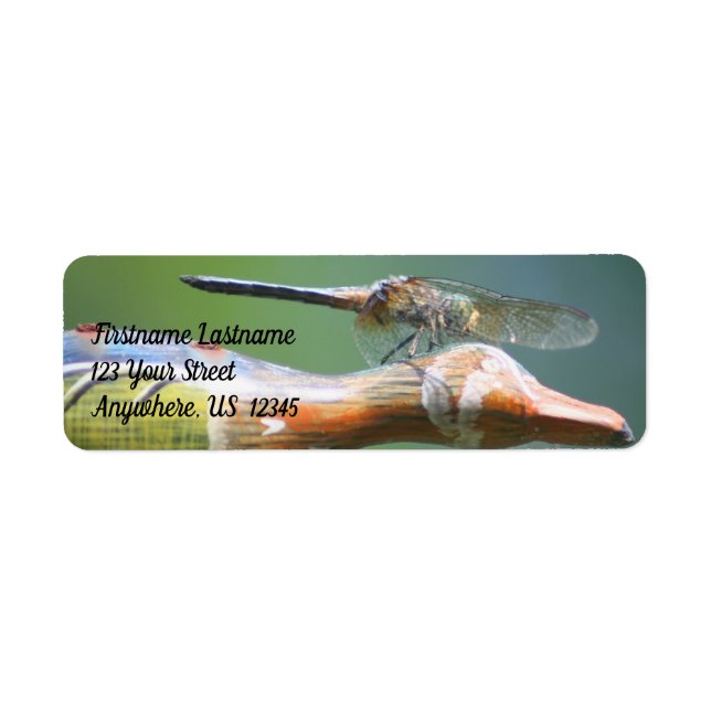 Cute Dragonfly Co Pilot Nature Address Label (Front)