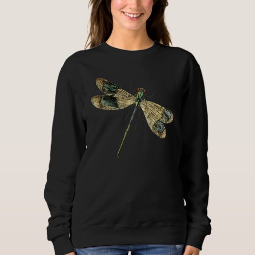 Cute Dragonfly Wings Antique Dragonfly Illustratio Sweatshirt