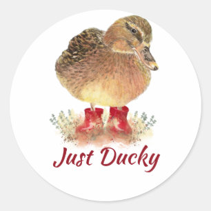 Cute Duck Fun Quote "Just Ducky" Classic Round Sticker