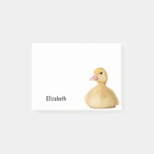 Cute Duck Personalized Name Post-it Notes (Front)