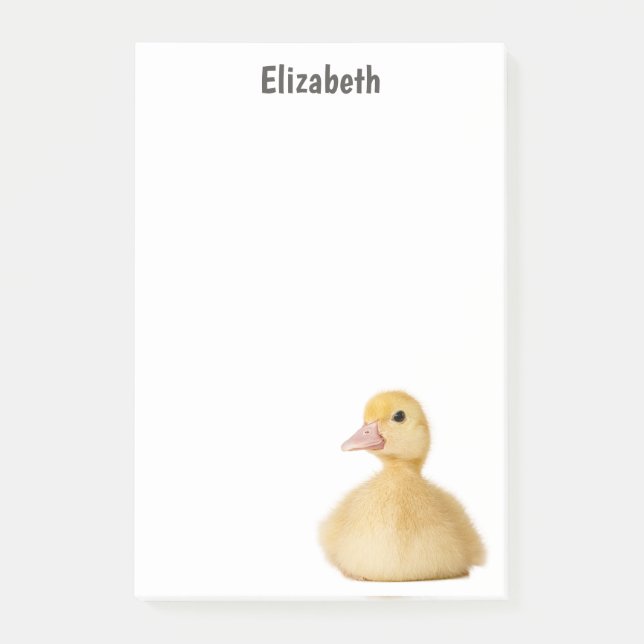 Cute Duck Personalized Name Post-it Notes (Front)