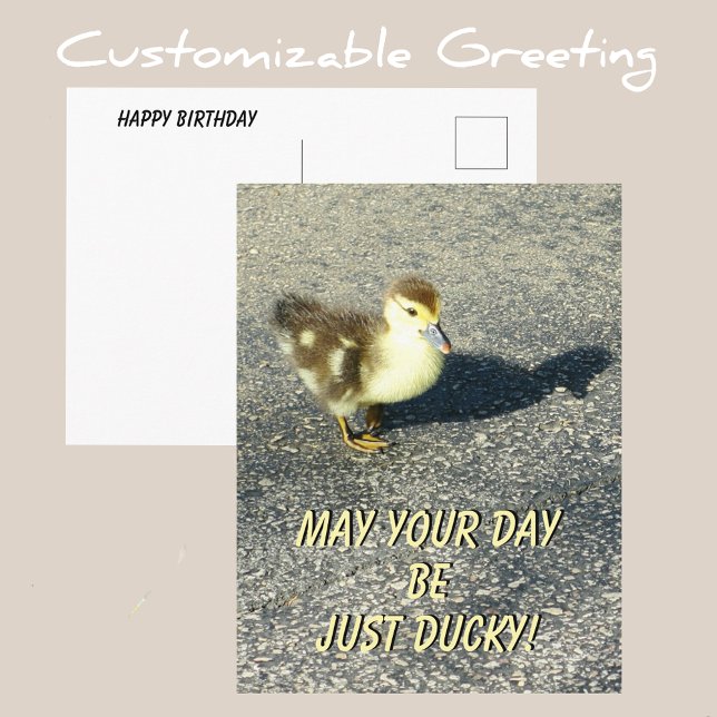 Cute Duckling Happy Birthday Wildlife Photography Postcard (Creator Uploaded)