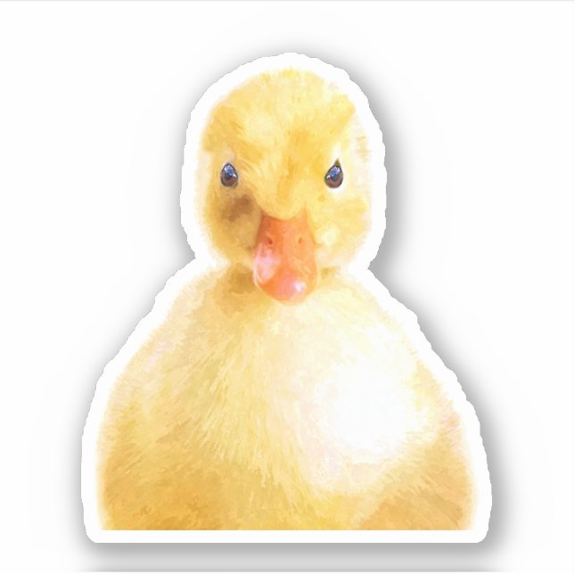 Cute Duckling Portrait Sticker (Front)