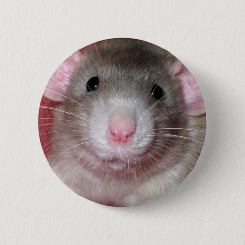 Cute Dumbo Rat Button