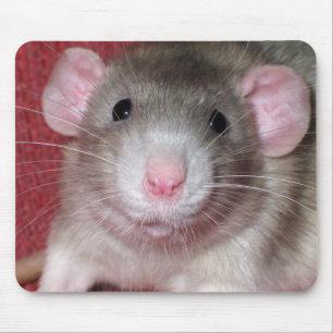Cute Dumbo Rat Mouse Pad