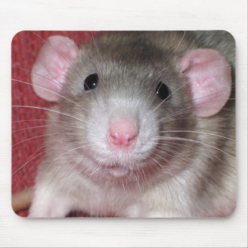 Cute Dumbo Rat Mouse Pad