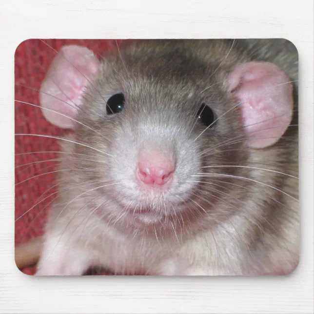 Cute Dumbo Rat Mouse Pad Zazzle - Main Image