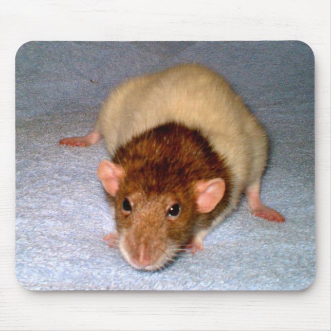 Cute Dumbo Rat Mousepad (Front)