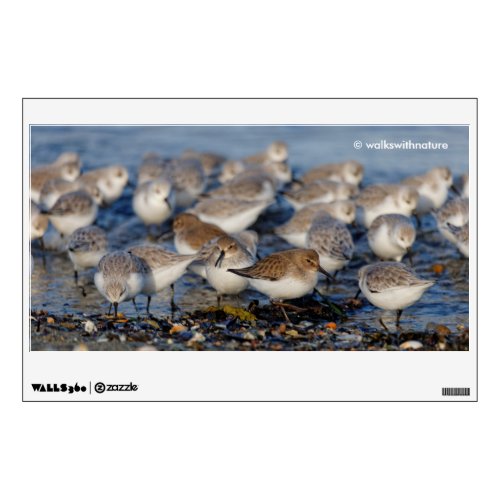 Cute Dunlins Sanderlings Sandpipers at the Beach Wall Decal