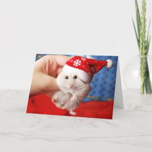 Cute dwarf hamster Tutku with Santa Claus hat Holiday Card