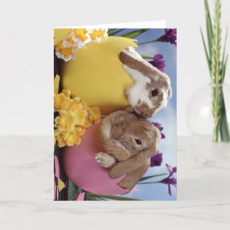 Cute Easter Bunny inside Eggs Holiday Card