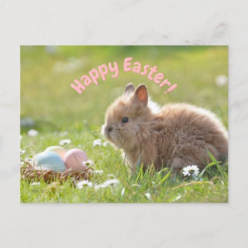 Cute Easter Bunny with Painted Eggs  Postcard