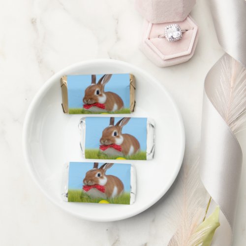 Cute Easter Bunnyfor a positive mood   Hersheys Miniatures