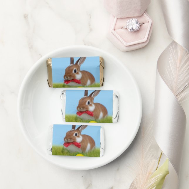 Cute Easter Bunnyfor a positive mood   Hershey's Miniatures (Wedding)