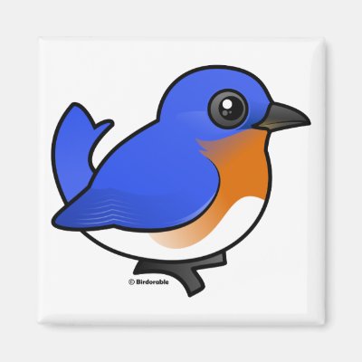 Cute Eastern Bluebird Magnet