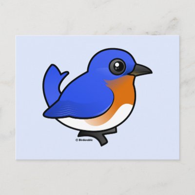 Cute Eastern Bluebird Postcard