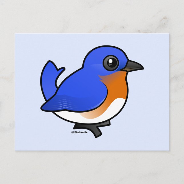 Cute Eastern Bluebird Postcard (Front)