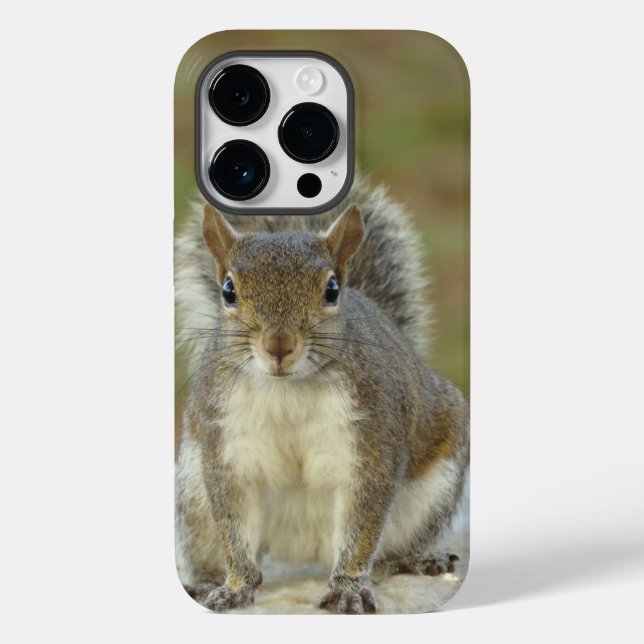 Cute Eastern gray squirrel close-up  Case-Mate iPhone Case (Back)