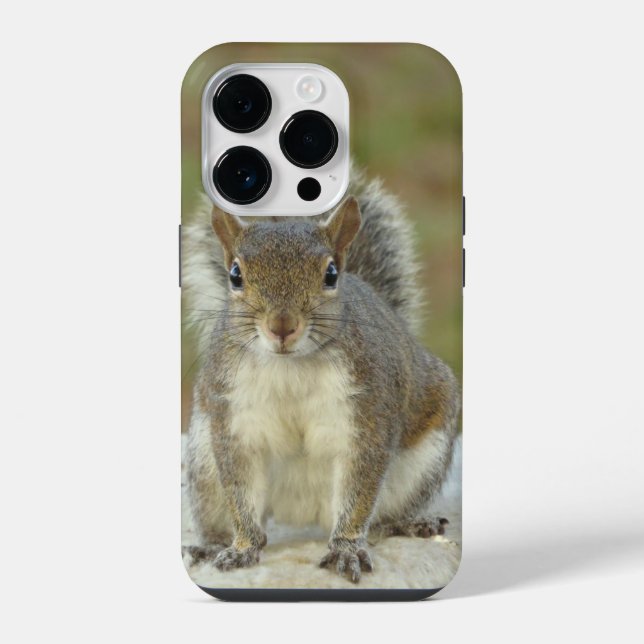 Cute Eastern gray squirrel close-up  Iphone Case (Back)