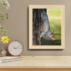 Cute Eastern Gray Squirrel Nature Photo Framed Art