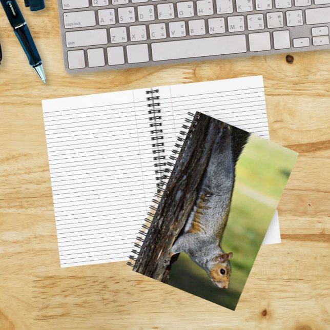 Cute Eastern Gray Squirrel Nature Photo Notebook (In Situ)