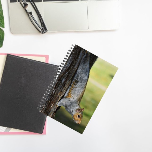 Cute Eastern Gray Squirrel Nature Photo Notebook (In Situ)