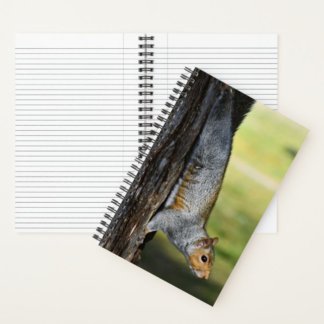 Cute Eastern Gray Squirrel Nature Photo Notebook (Inside)