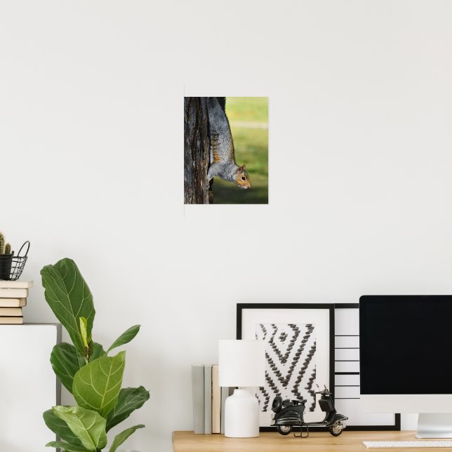 Cute Eastern Gray Squirrel Nature Photo Poster (Home Office)