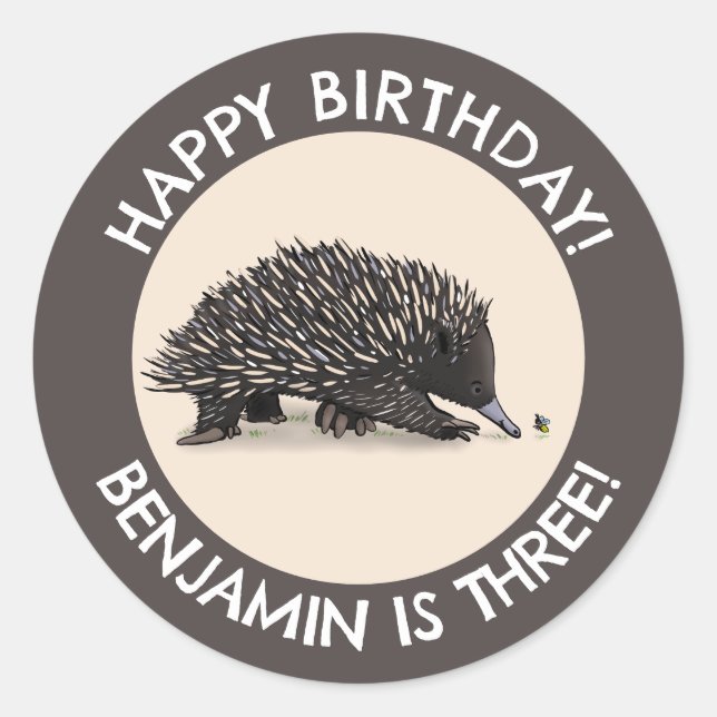 Cute echidna and bee cartoon personalized birthday classic round sticker (Front)