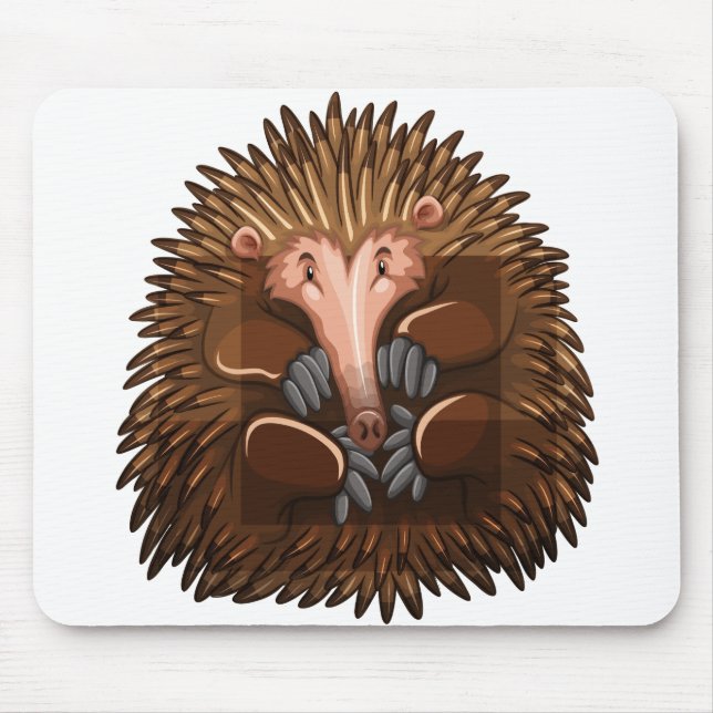 Cute echidna mouse pad (Front)