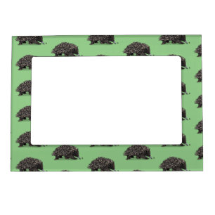 Cute echidna with bee cartoon illustration magnetic frame