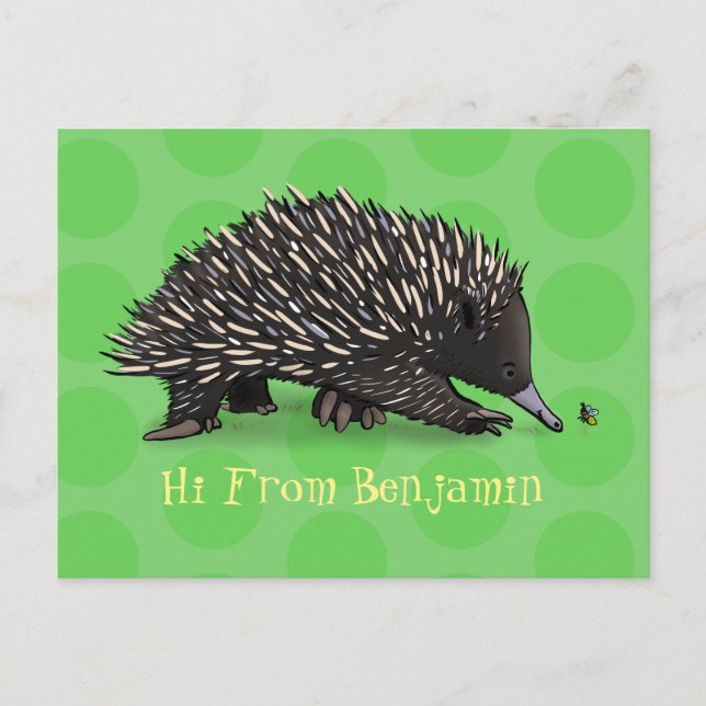 Cute echidna with bee cartoon illustration postcard (Front)