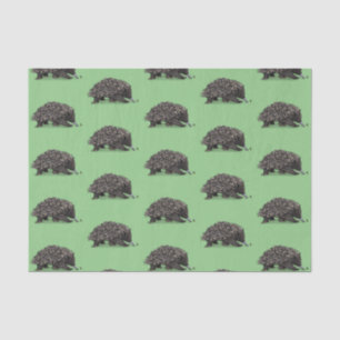 Cute echidna with bee cartoon illustration tissue paper