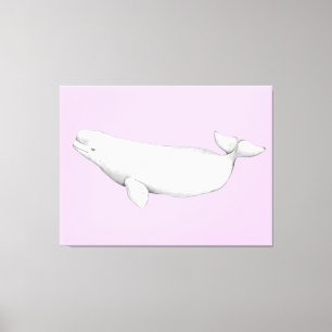 Cute Elegant Beluga Whale Book Illustration Canvas Print