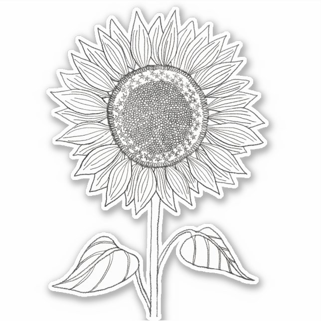 Cute Elegant Boho Black and White Pencil Sunflower Sticker (Front)