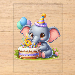 Cute Elephant 6th Birthday Acrylic Invitations