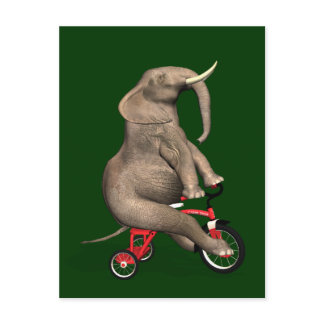 Cute Elephant Riding A Tricycle Postcard