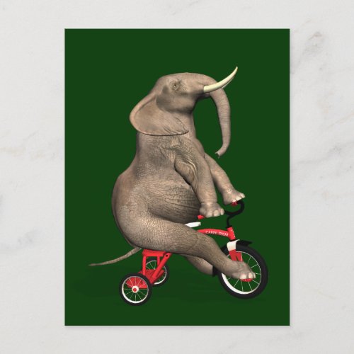 Cute Elephant Riding A Tricycle Postcard
