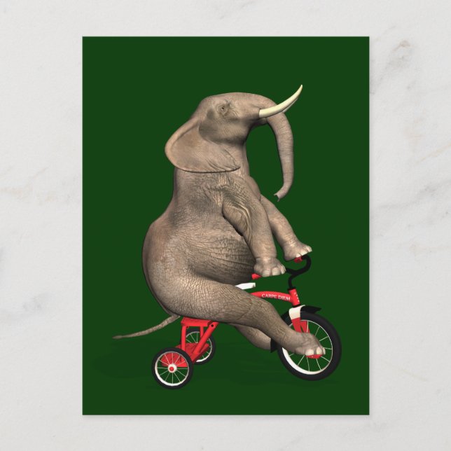Cute Elephant Riding A Tricycle Postcard (Front)