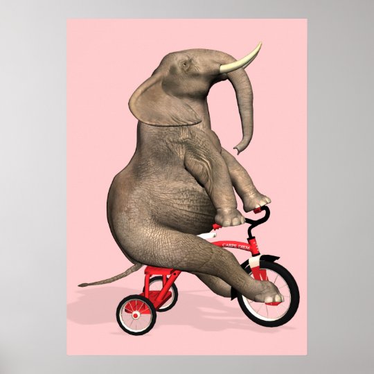Cute Elephant Riding A Tricycle Poster