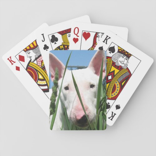 Cute English Bull Terrier Playing Cards